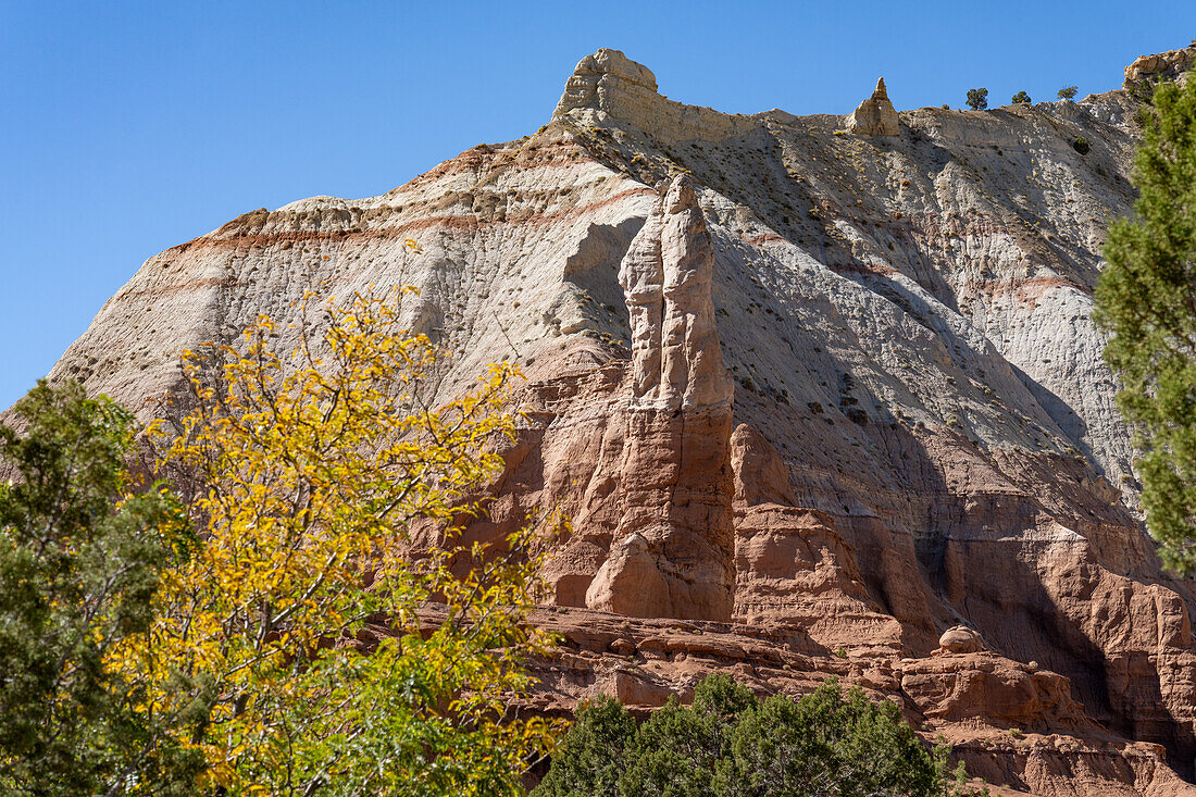 Sandpipes oder Chimney Rocks, erodierte Felstürme im Kodachrome Basin State Park in Utah.