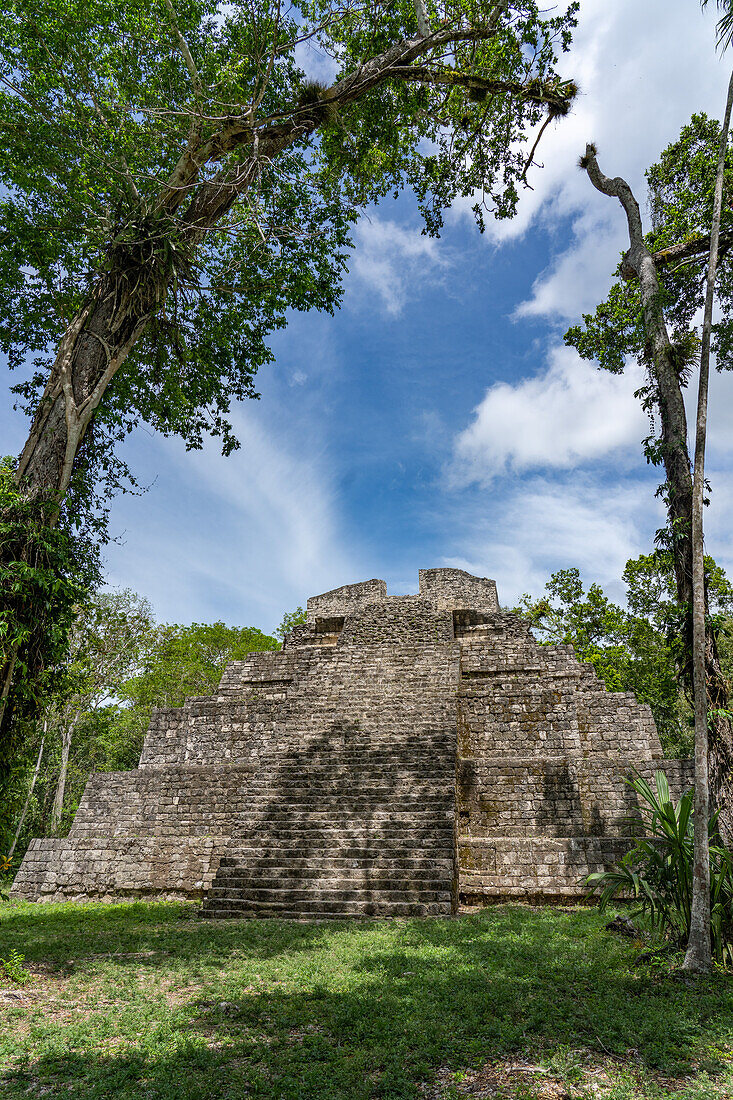 Struktur 1 der Maler-Gruppe oder Plaza der Schatten in den Maya-Ruinen im Yaxha-Nakun-Naranjo-Nationalpark, Guatemala.