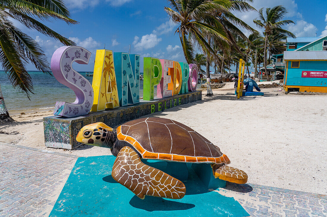 Palm trees and a sea turtle statue in front of a 3-D painted sign on the beach in San Pedro on Ambergris Caye,Belize.