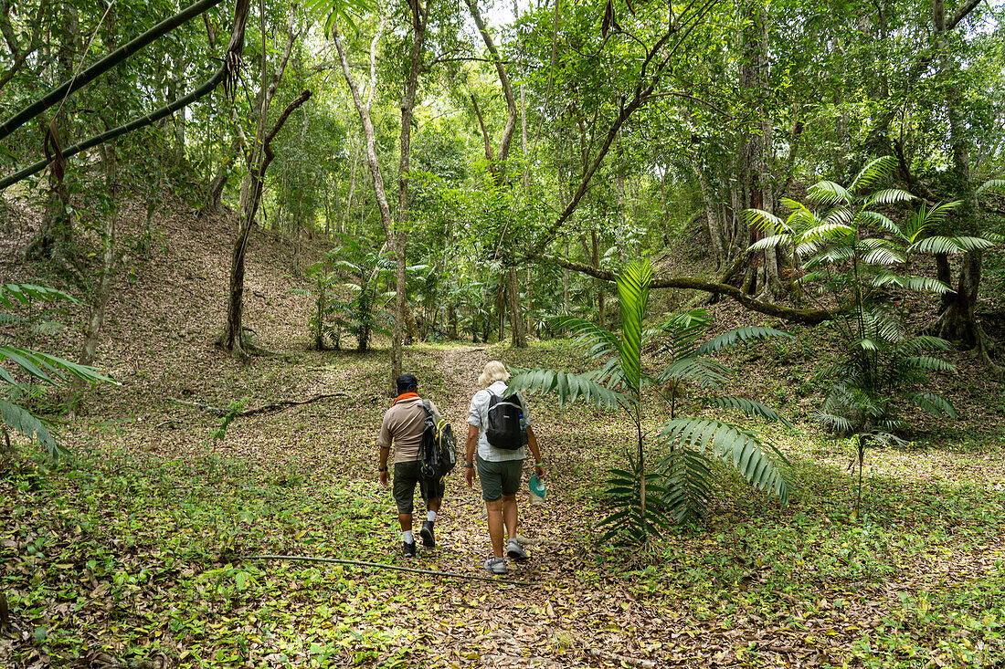A tourist & guide walk on the Calzada Este or East Causeway in the Mayan ruins in Yaxha-Nakun-Naranjo National Park,Guatemala. Note the unexcavated ruin mounds on either side of the trail.