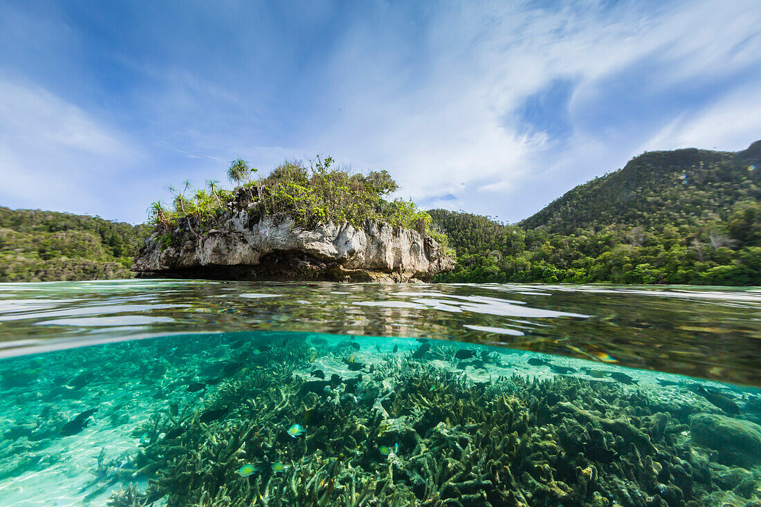 Above and below view of islets covered in vegetation from inside the natural protected harbor,Wayag Bay,Raja Ampat,Indonesia,Southeast Asia,Asia