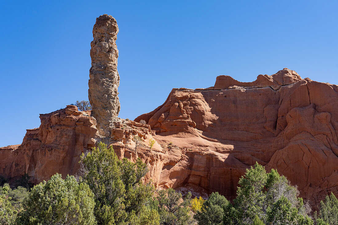Ein Sandrohr oder Kaminfelsen, ein erodierter Felsturm im Kodachrome Basin State Park in Utah.