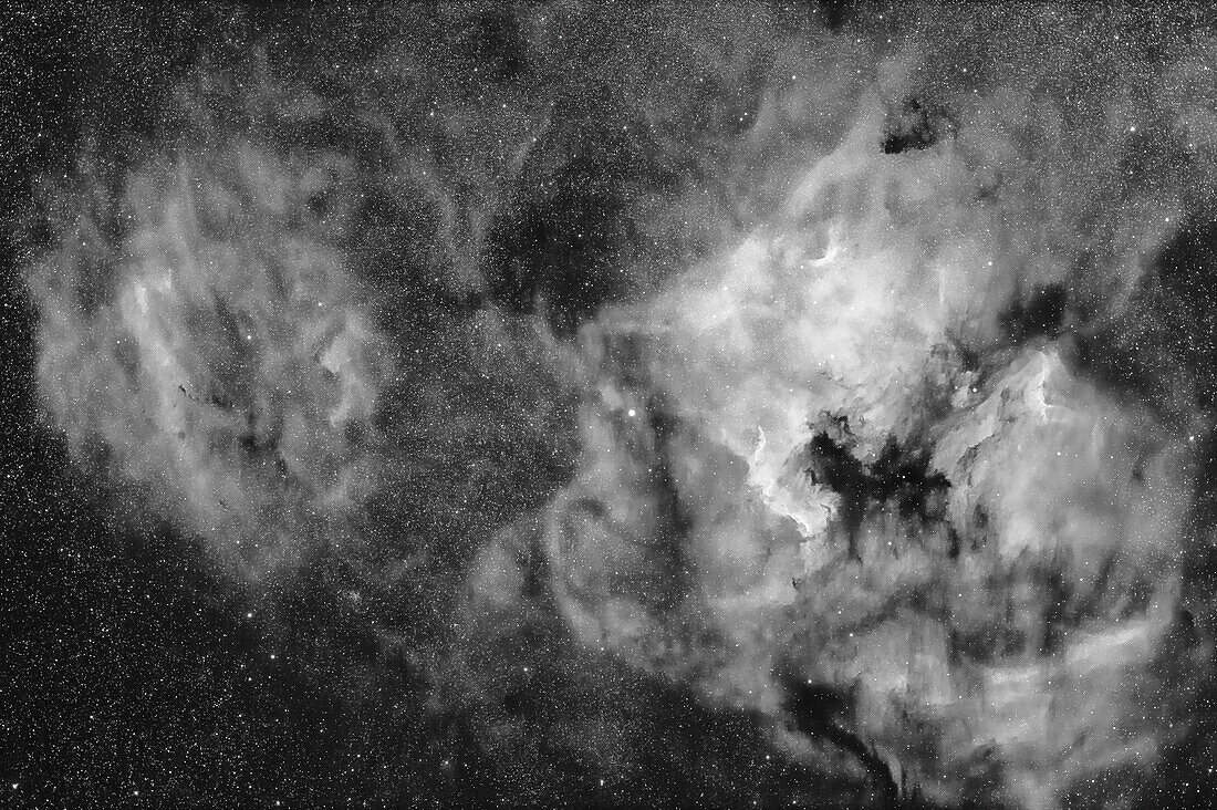 This is a framing of an array of emission nebulas in Cygnus: the bright North America Nebula (NGC 7000) at right,and to the right of it,the Pelican Nebula (IC 5067/8). Those bright nebulas are set amid a complex of fainter nebulosity,notably the Clamshell Nebula at left,as it has become known recently,and catalogued as Sharpless 2-119. At bottom right is the curving Cygnus Arc,aka IC 5068. The small star cluster NGC 7044 is below the Clamshell.