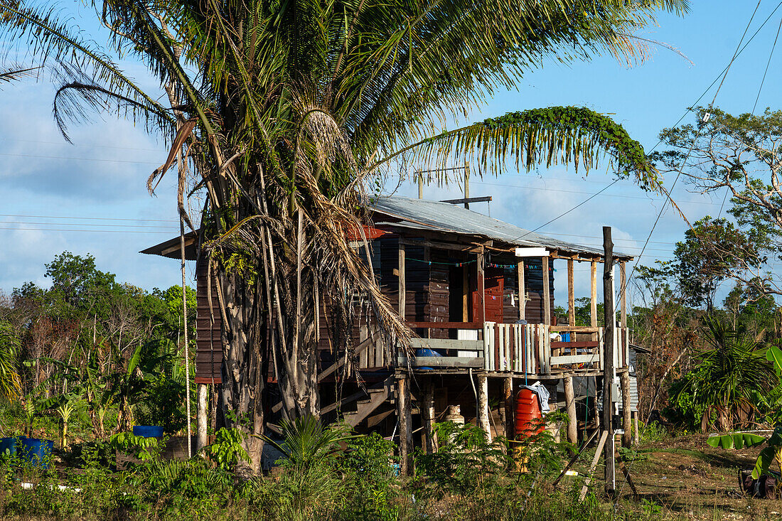 Ein typisch ländliches Haus auf Stelzen am alten Great Northern Highway in Belize.