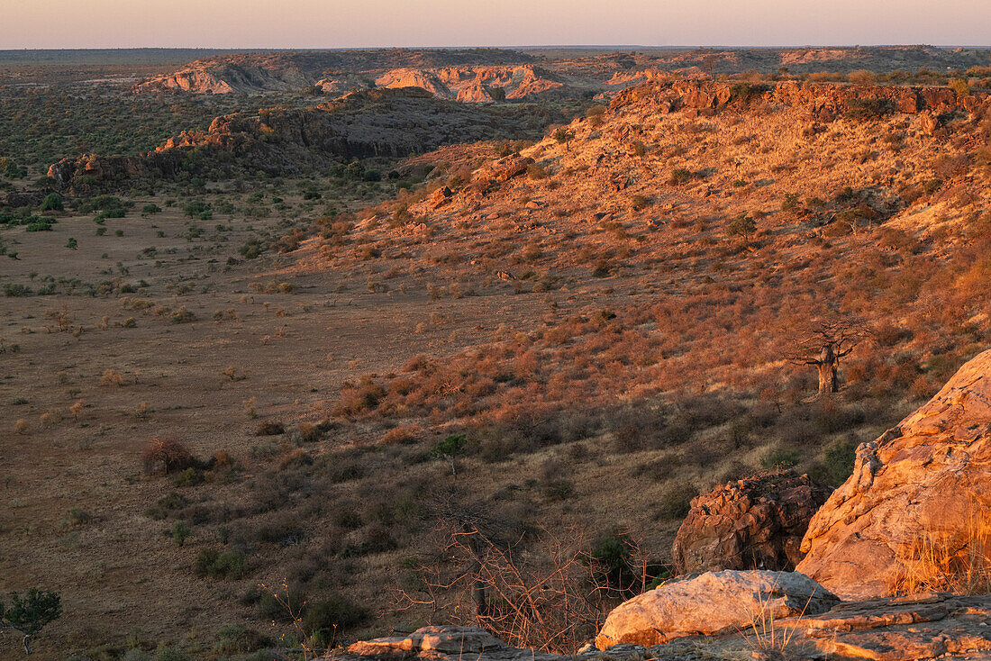 Mashatu-Wildreservat, Botswana.