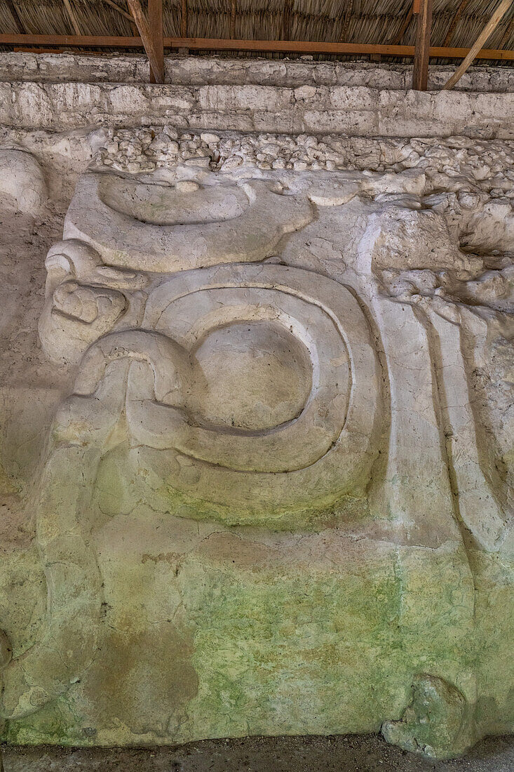 Sculpted stucco frieze on Structure 136 in the North Acropolis in the Mayan ruins in Yaxha-Nakun-Naranjo National Park,Guatemala.
