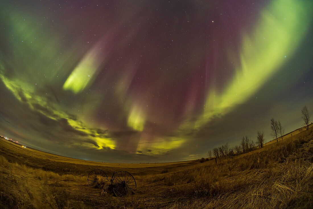 A view of the great April aurora show of April 23,2023,looking to the east,with a pair of diverging curtains with magenta tops. Taken late in the display from home in southern Alberta,Canada.