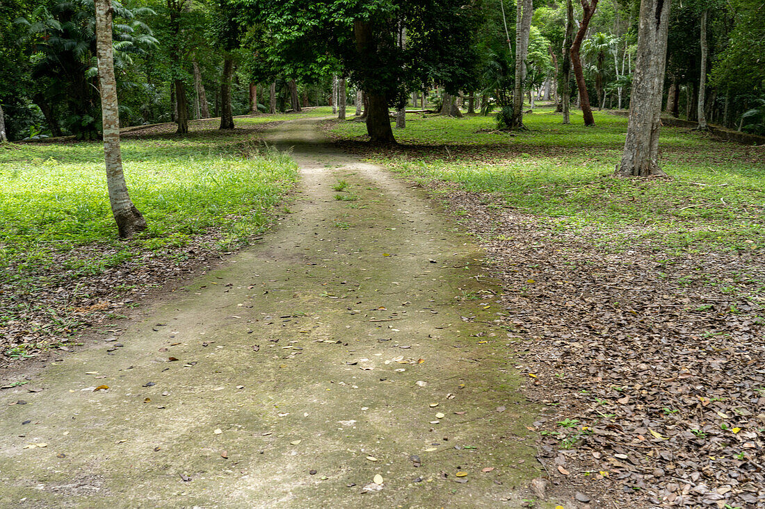 Calzada Blom or the Blom Causeway,a sacbe in the Mayan ruins in Yaxha-Nakun-Naranjo National Park,Guatemala. Also known as the Water Causeway or Calzada de las Aguas.