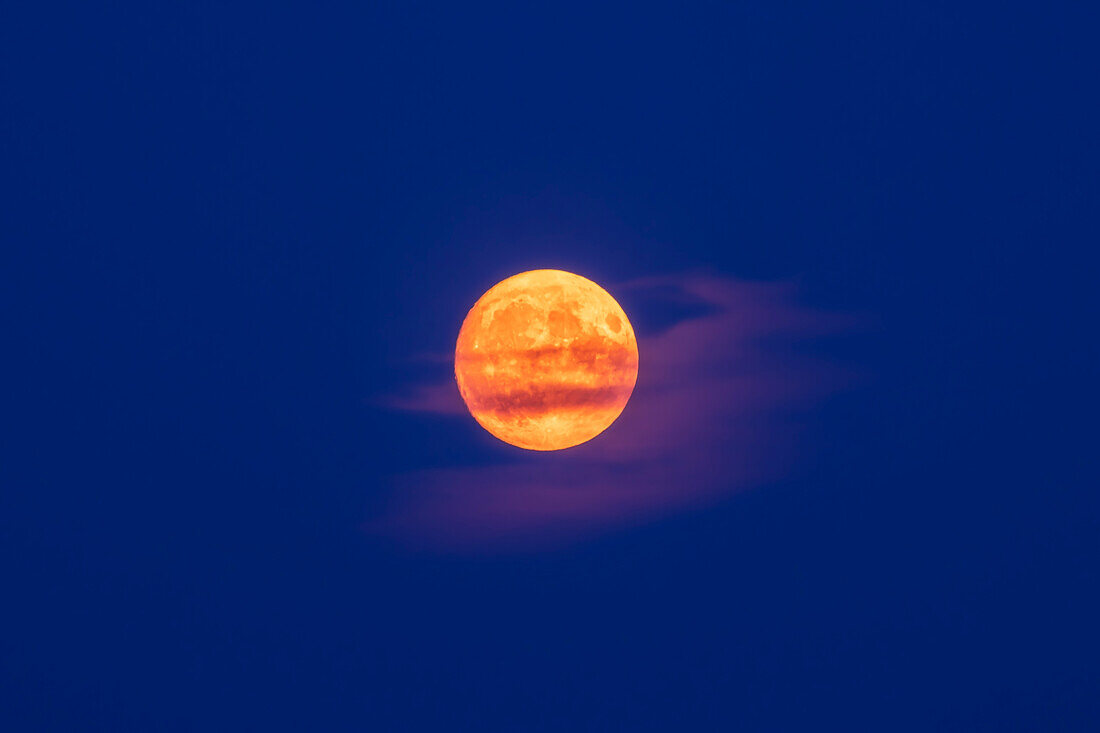 This was the nearly Full Moon on August 29,2023,on the night before the official "Super Blue Full Moon" of August 30. I shot it here when it was still low in the sky and yellowed by smoke and dust,and set in the deep blue twilight sky.