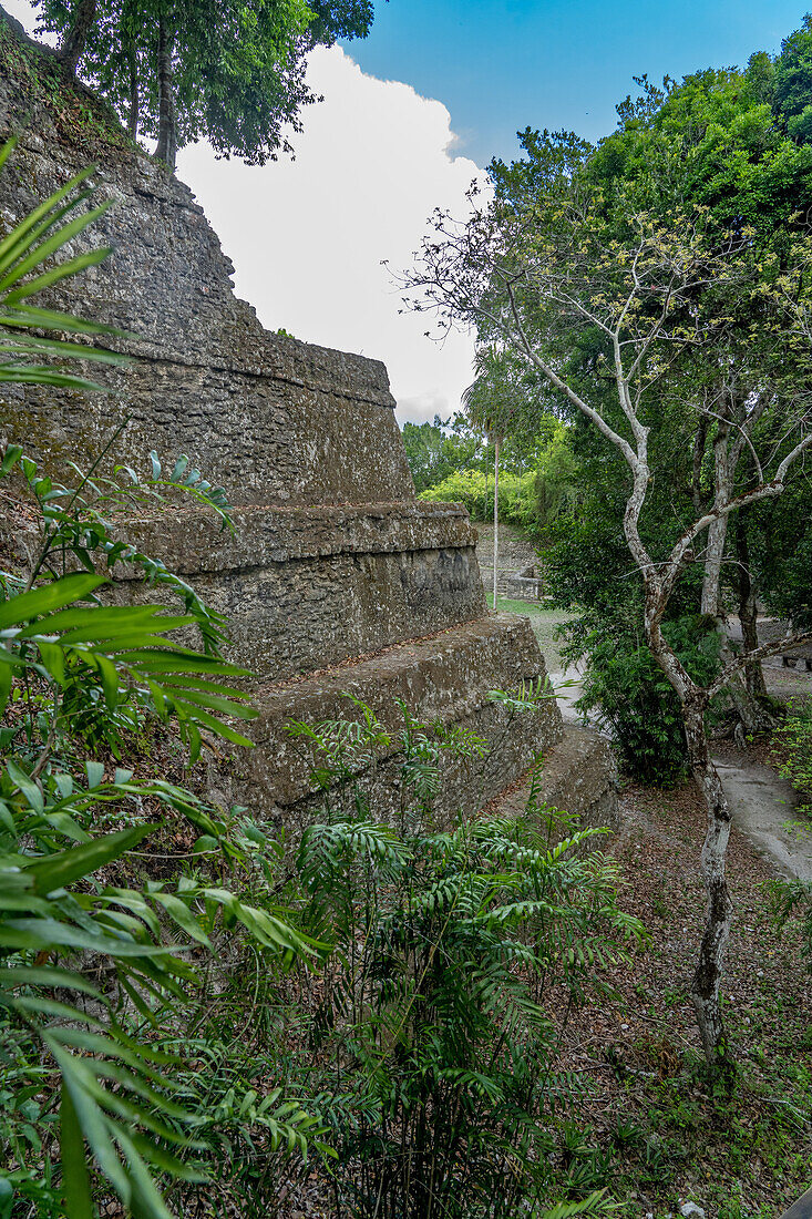 Blick auf die Terrassenseite von Struktur 216 in den Maya-Ruinen im Yaxha-Nakun-Naranjo-Nationalpark, Guatemala. Die Struktur 216 ist die höchste Pyramide in den Yaxha-Ruinen.