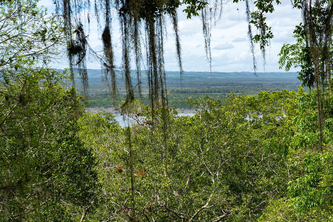 Blick auf den Yaxha-See von der obersten Struktur 117 in den Maya-Ruinen im Yaxha-Nakun-Naranjo-Nationalpark, Guatemala. Dieser hohe, nicht ausgegrabene Hügel ist Teil eines größeren astronomischen Komplexes.