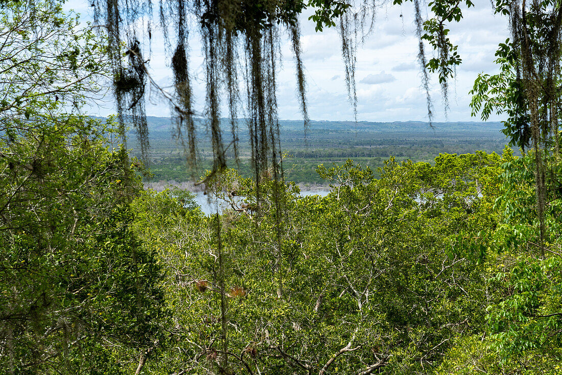 View of Lake Yaxha from the top Structure 117 in the Mayan ruins in Yaxha-Nakun-Naranjo National Park,Guatemala. This tall unecavated mound is part of the larger astronomical complex.