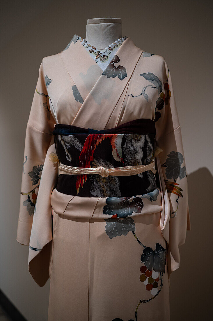 Kimono komon aus der Heisei-Ära mit in Katazome-Technik verzierter Seide. Nagoya obi aus der Showa-Ära.