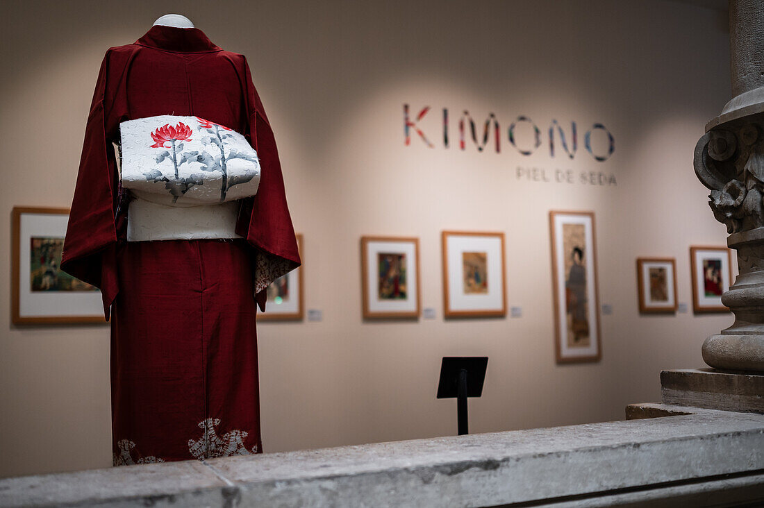 Kimono homongi aus der Taisho-Ära mit Tsumugi-Seide, gefärbt mit Shibori-Technik. Nagoya Obi aus der mittleren Showa-Zeit mit hige tsumugi-Seide, verziert mit katazome-Technik.