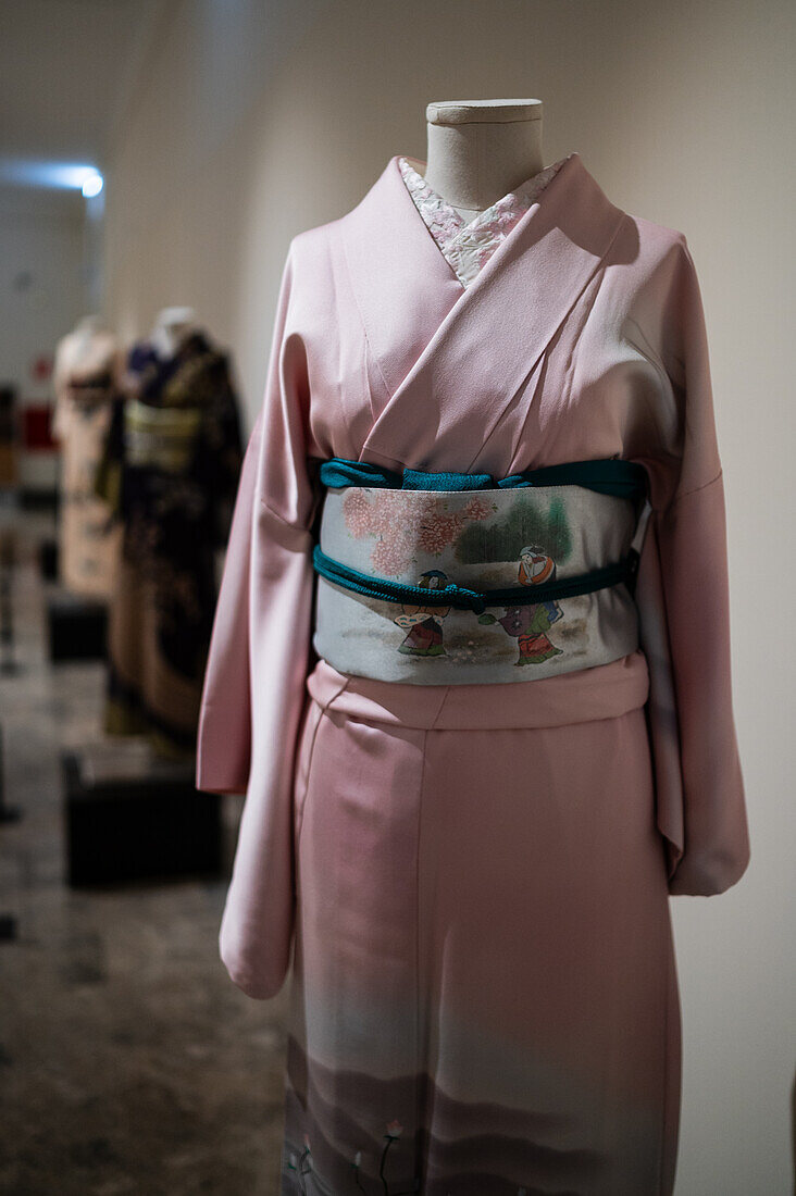 Kimono homongi aus der Showa-Zeit mit gefärbter Seide. Fukuro obi aus der Showa-Ära.