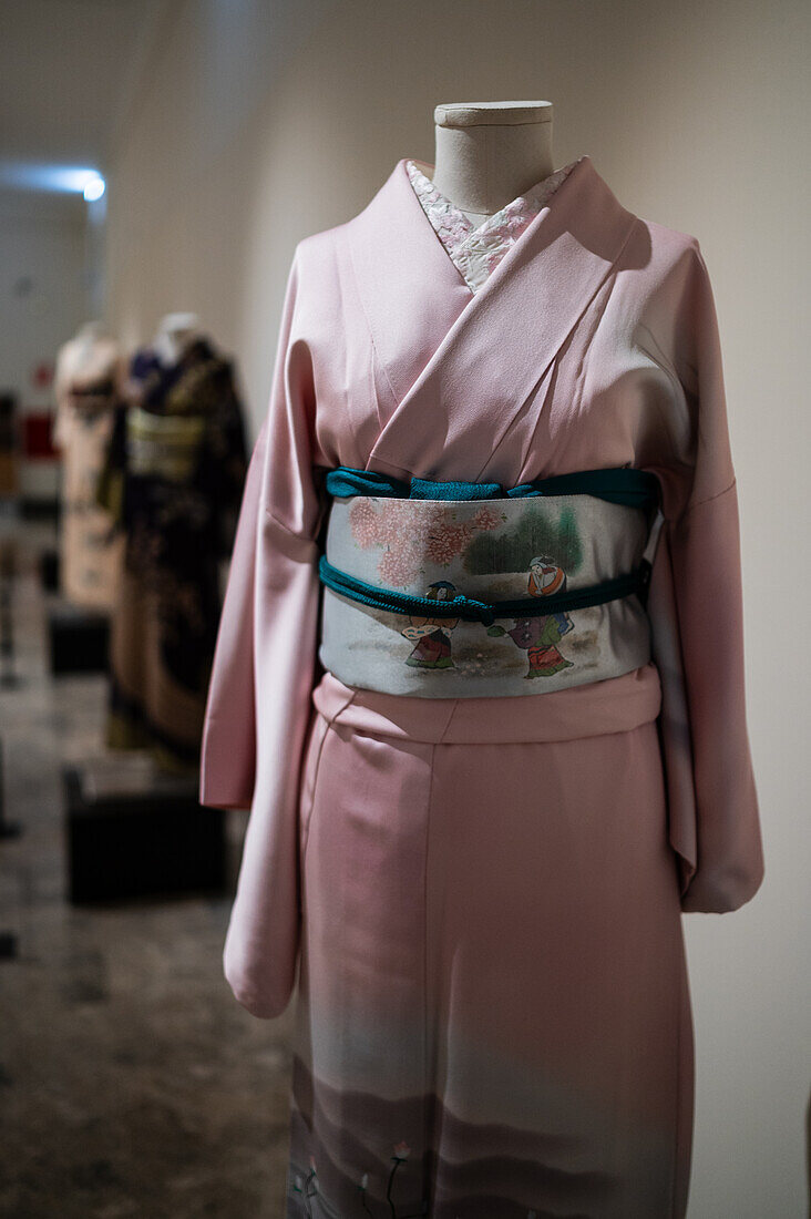 Kimono homongi from Showa era with dyed silk. Fukuro obi from Showa era.