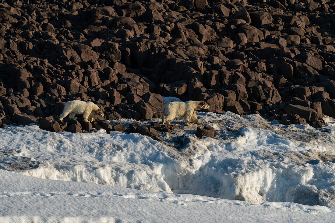 Van Otteroya island,Svalbard Islands,Norway.