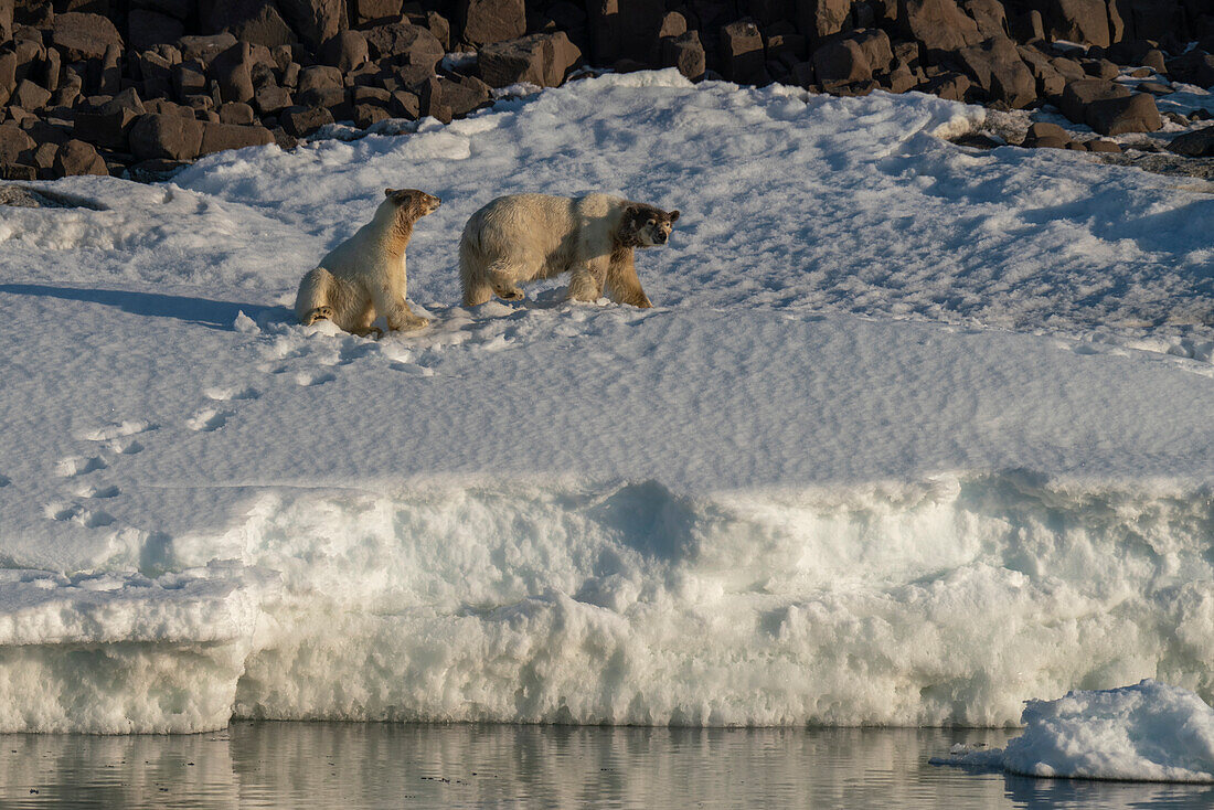 Van Otteroya island,Svalbard Islands,Norway.