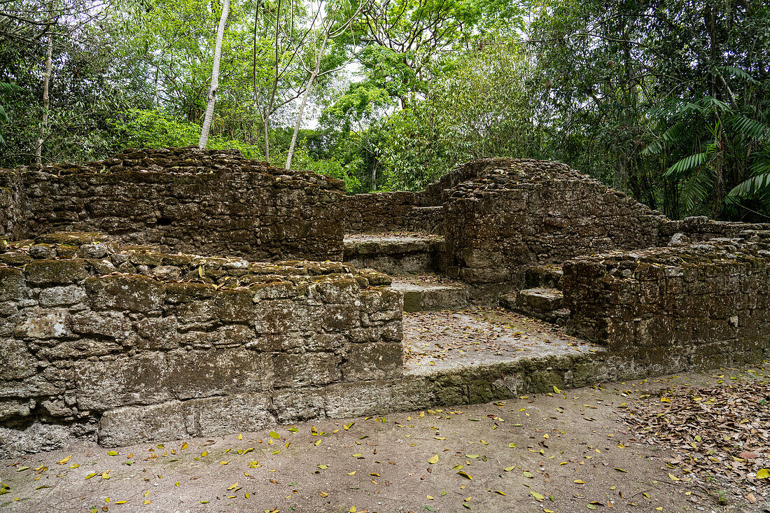 Strukturen in der Westgruppe oder Plaza R, ein Wohnkomplex in den Maya-Ruinen im Yaxha-Nakun-Naranjo-Nationalpark, Guatemala.