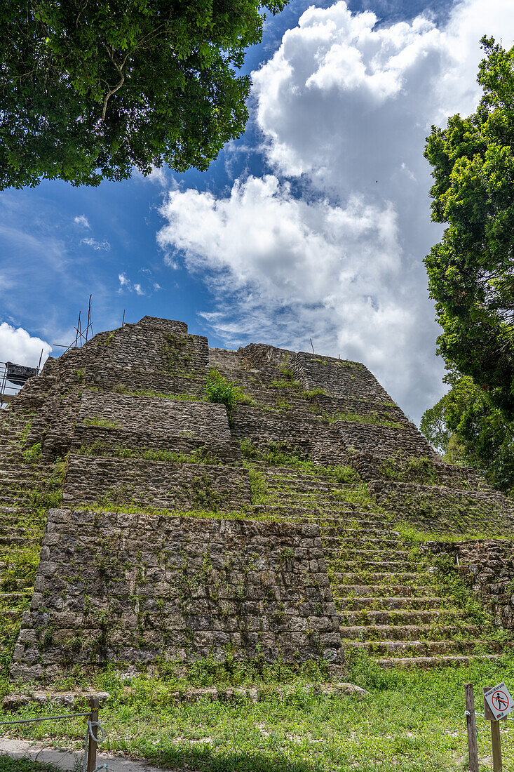 Struktur 137, eine Tempelpyramide in der nördlichen Akropolis in den Maya-Ruinen im Yaxha-Nakun-Naranjo-Nationalpark in Guatemala.