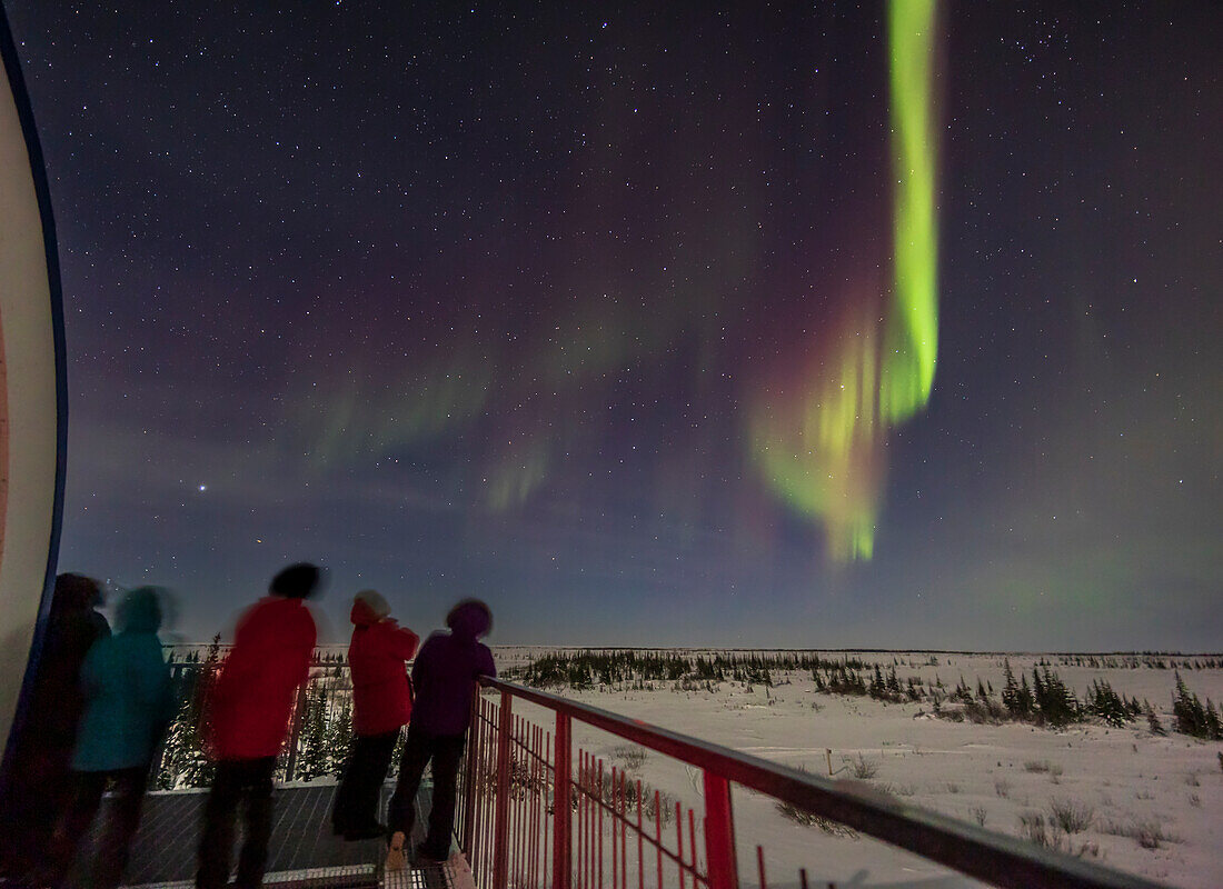 Gäste der Reisegruppe 2023 von Road Scholar im Churchill Northern Studies Centre, Churchill, Manitoba, genießen den Beginn einer Aurora-Show am 25. Februar 2023.