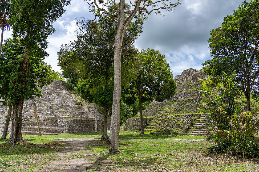 Structure 142 & Structure 137 in the North Acropolis in the Mayan ruins in Yaxha-Nakun-Naranjo National Park,Guatemala.