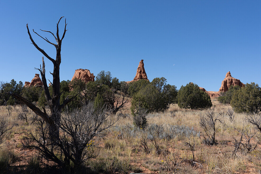 Der Mond und erodierte Sandsteinformationen im Kodachrome Basin State Park in Utah.