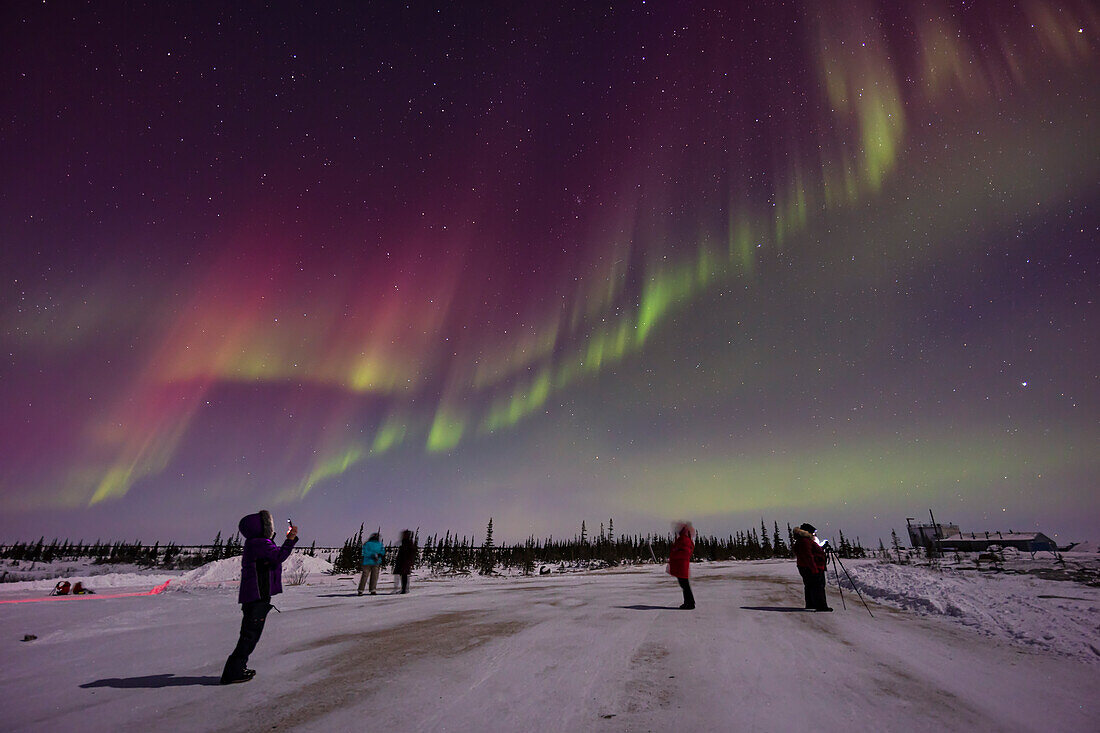 Aurora photographers at the Churchill Northern Studies Centre,February 26,2023,under a magenta curtain of Northern Lights.