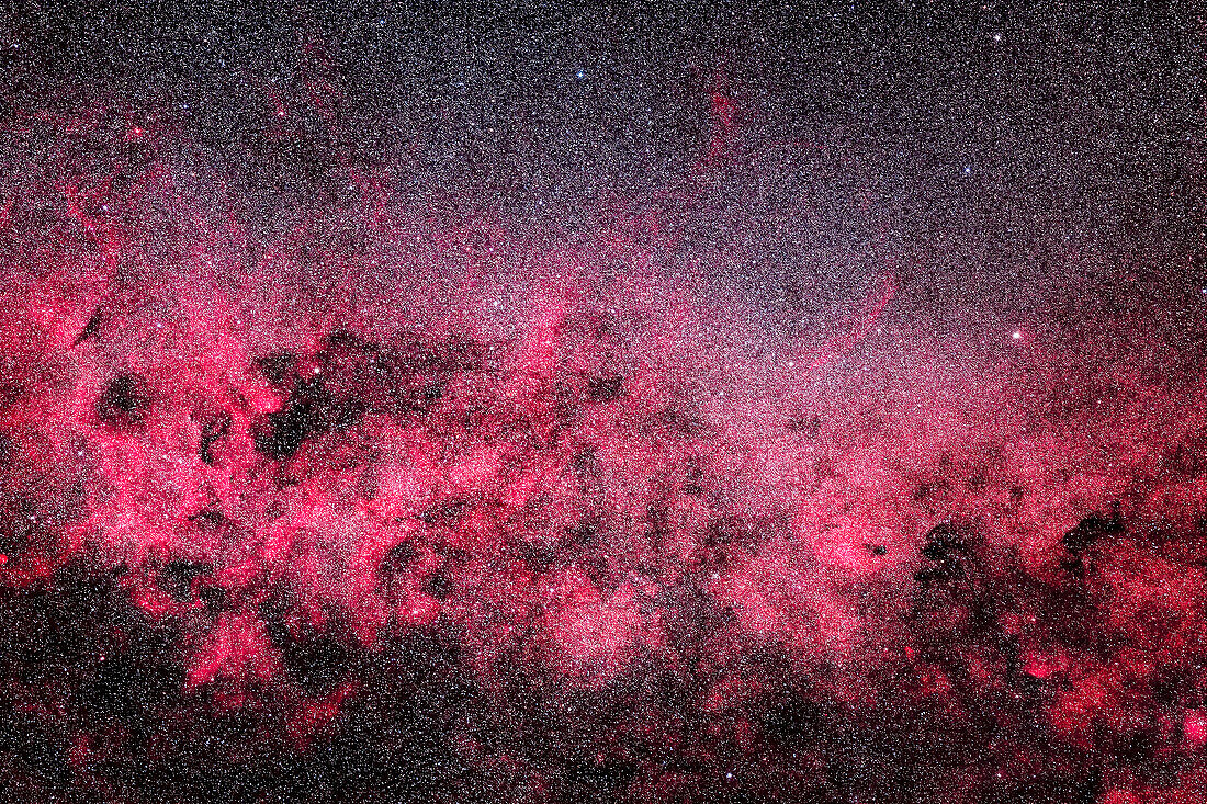 This is a framing of the Cygnus Starcloud in the northern Milky Way,with the patches of red hydrogen gas throughout the region emphasized. The field takes in the "neck" of Cygnus,from north of Eta Cygni at left,to just south of Beta Cygni,aka Albireo,at right,with the field oriented along the Milky Way. Some of the nebulosity here is numbered in the Sharpless catalogue. For example,the faint arc left of Albireo is Sharpless 2-91. The brightest patch of nebulosity lower left of Eta Cygni is Sh2-101. The nebula in the botttom right corner is NGC 6820 in Vulpecula. The globular cluster M56 in Lyr