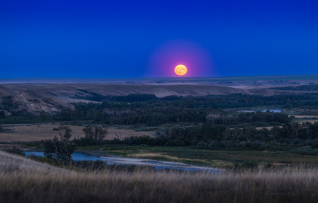 The rising of the August 1,2023 "supermoon" Full Moon,over the Bow River and valley,on the Siksika Nation lands,the heart of the Blackfoot Confederacy lands in southern Alberta,Canada.