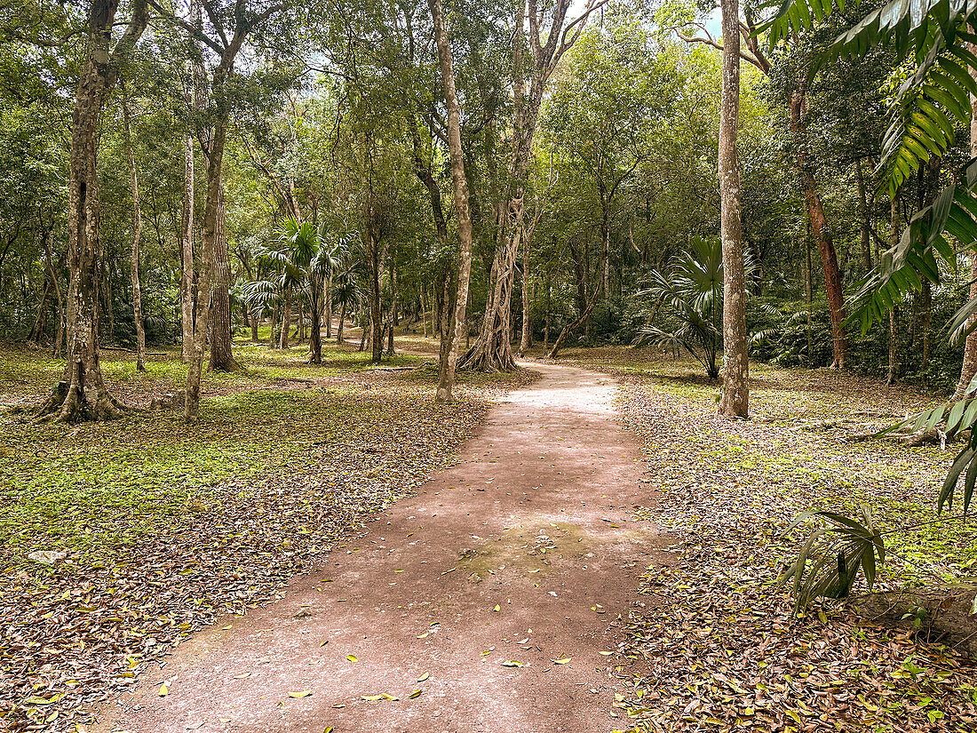 The Calzada Este or East Causeway in the Mayan ruins in Yaxha-Nakun-Naranjo National Park,Guatemala.