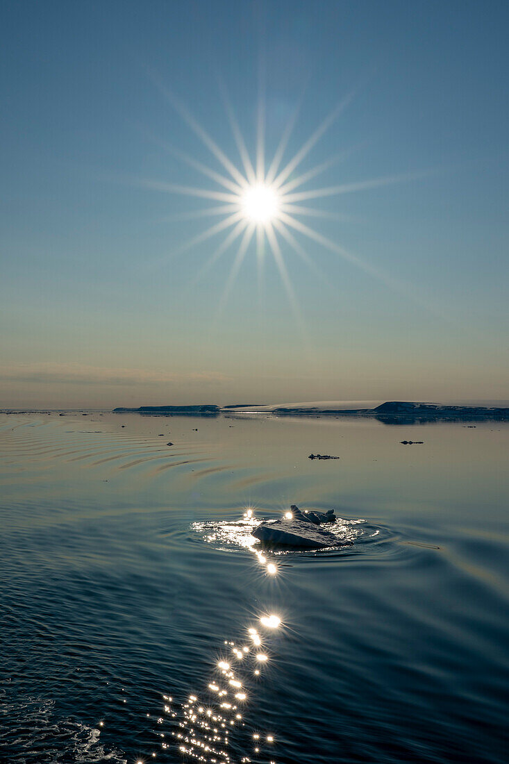 Van Otteroya island,Svalbard Islands,Norway.