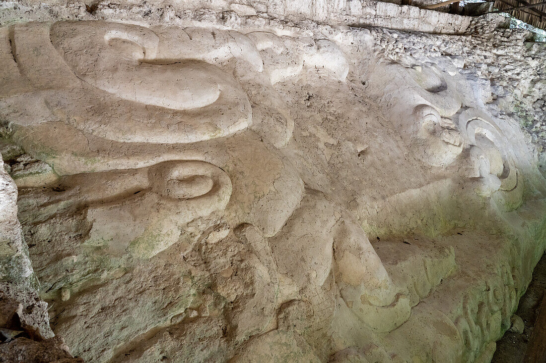 Sculpted stucco frieze on Structure 136 in the North Acropolis in the Mayan ruins in Yaxha-Nakun-Naranjo National Park,Guatemala.