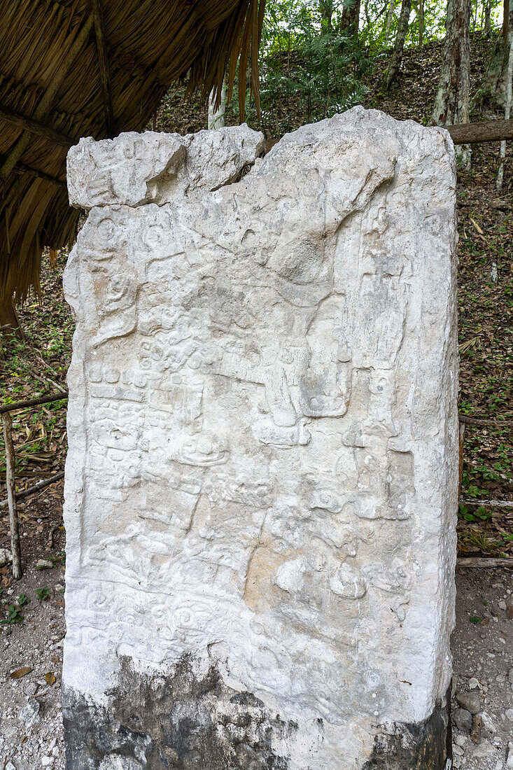 Stele 4 auf der Plaza C der Maya-Ruinen im Yaxha-Nakun-Naranjo-Nationalpark,Guatemala.