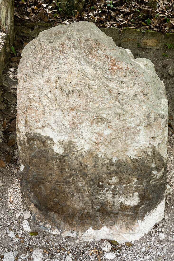 Stela 5 in Plaza C of the Mayan ruins in Yaxha-Nakun-Naranjo National Park,Guatemala.