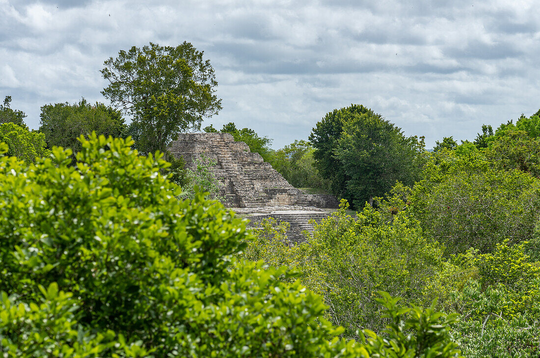 Blick auf die Struktur 142 von der Spitze der Struktur 117 in den Maya-Ruinen im Yaxha-Nakun-Naranjo-Nationalpark, Guatemala. Struktur 142 befindet sich in der nördlichen Akropolis. Blick auf den Yaxha-See von der Spitze der Struktur 117 in den Maya-Ruinen im Yaxha-Nakun-Naranjo-Nationalpark, Guatemala. Struktur 117 ist ein hoher, nicht ausgegrabener Hügel in einem größeren astronomischen Komplex.