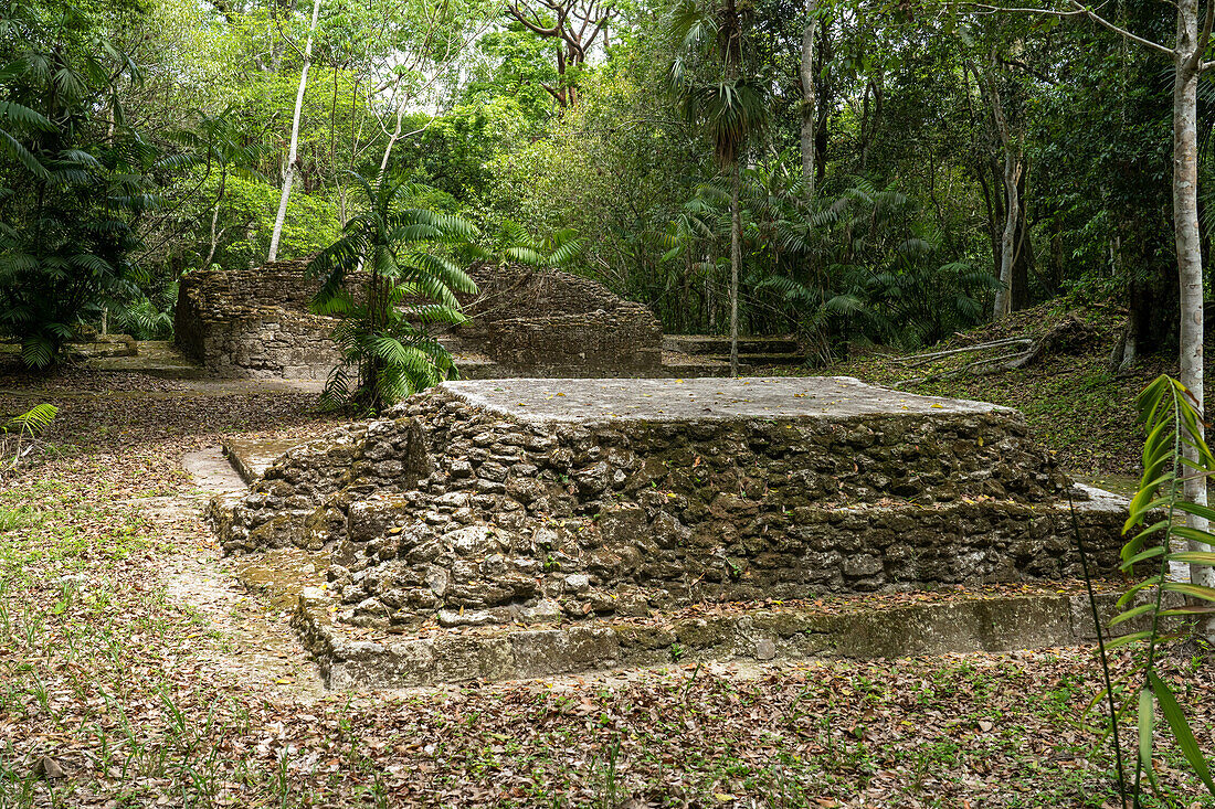 Strukturen in der Westgruppe oder Plaza R, einem Wohnkomplex in den Maya-Ruinen im Yaxha-Nakun-Naranjo-Nationalpark, Guatemala.