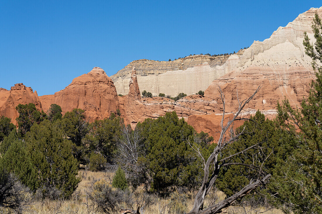 Colorful eroded sandstone spire formations in Kodachrome Basin State Park in Utah.