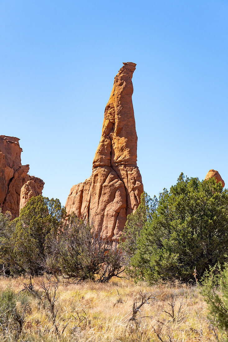 A colorful eroded Entrada sandstone spire formation in Kodachrome Basin State Park in Utah.