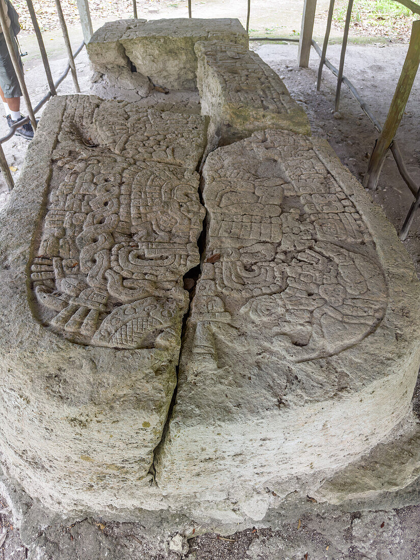 Eine in Stein gehauene Stele mit der Darstellung eines Kriegers auf dem Platz A der Maya-Ruinen im Yaxha-Nakun-Naranjo-Nationalpark, Guatemala.