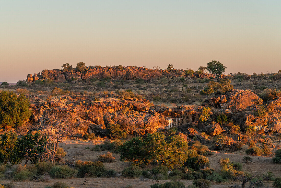 Mashatu-Wildreservat, Botswana.