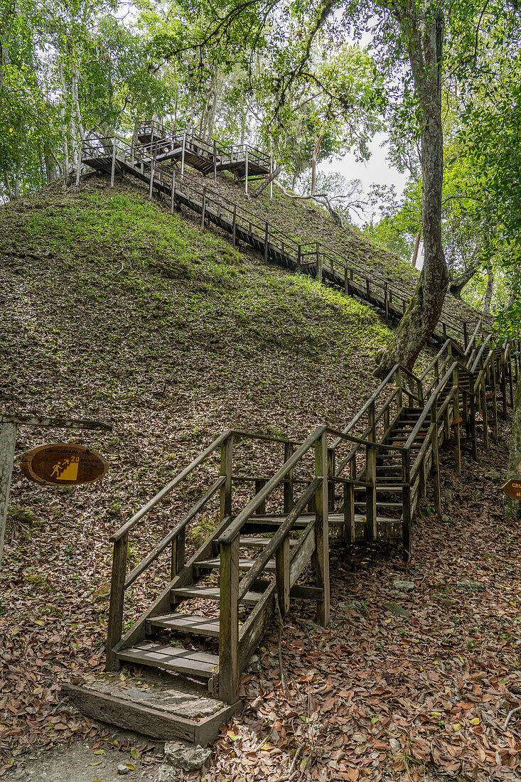 Stairway to the top of of Structure 117 in the Mayan ruins in Yaxha-Nakun-Naranjo National Park,Guatemala. It is a tall unecavated mound in the larger astronomical complex.