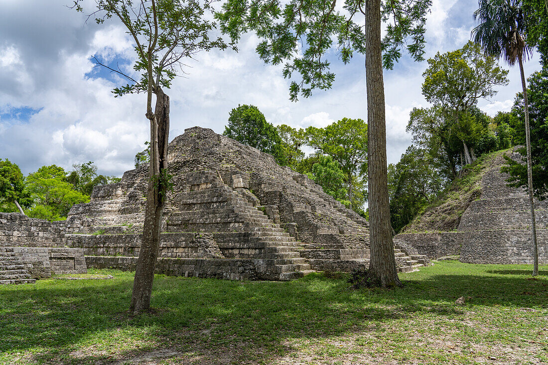 Struktur 144, eine Tempelpyramide in der nördlichen Akropolis in den Maya-Ruinen im Yaxha-Nakun-Naranjo-Nationalpark, Guatemala.