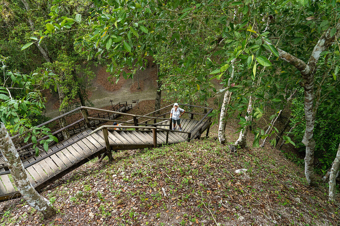 Stairway to the top of of Structure 117 in the Mayan ruins in Yaxha-Nakun-Naranjo National Park,Guatemala. It is a tall unecavated mound in the larger astronomical complex.