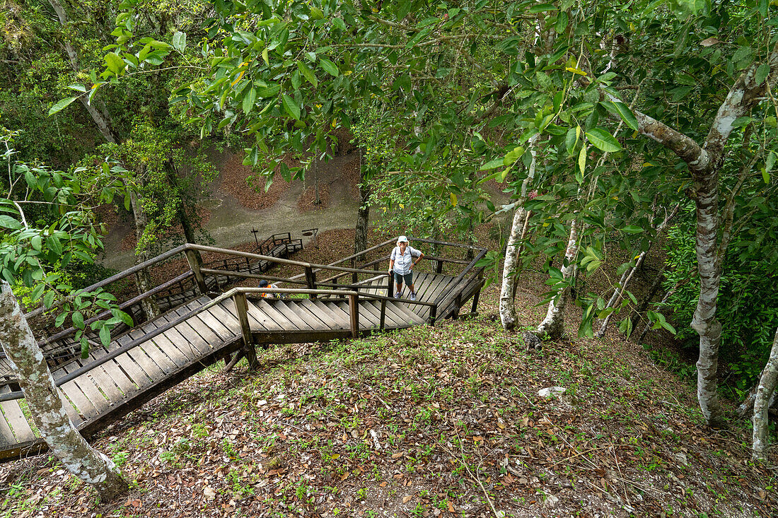 Treppe zur Spitze von Struktur 117 in den Maya-Ruinen im Yaxha-Nakun-Naranjo-Nationalpark, Guatemala. Es handelt sich um einen hohen, nicht ausgegrabenen Hügel in einem größeren astronomischen Komplex.