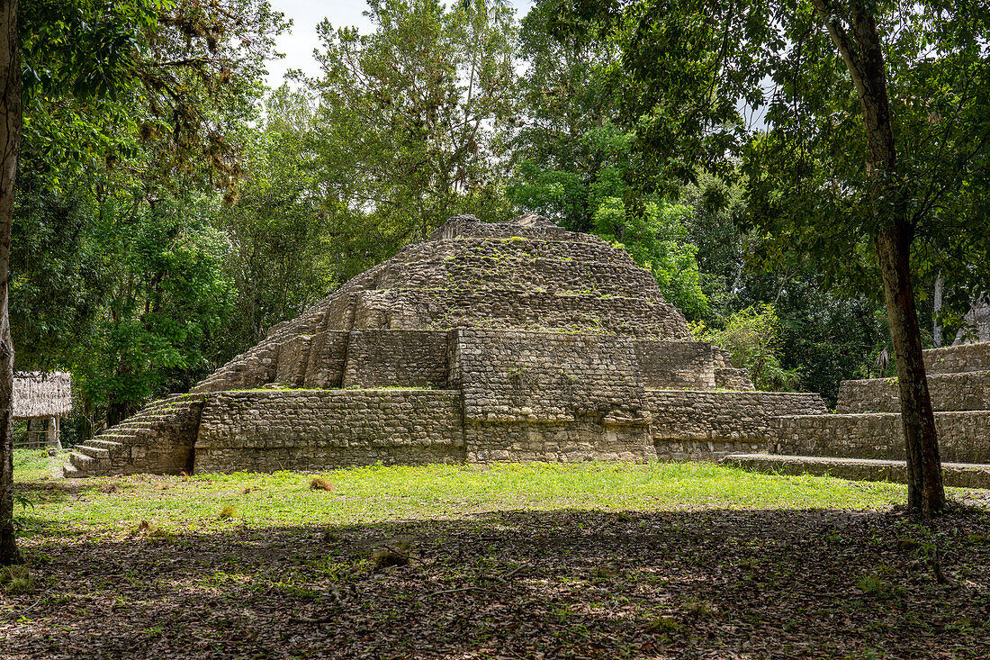 Struktur 4 der Maler-Gruppe oder Plaza of the Shadows in den Maya-Ruinen im Yaxha-Nakun-Naranjo-Nationalpark, Guatemala.