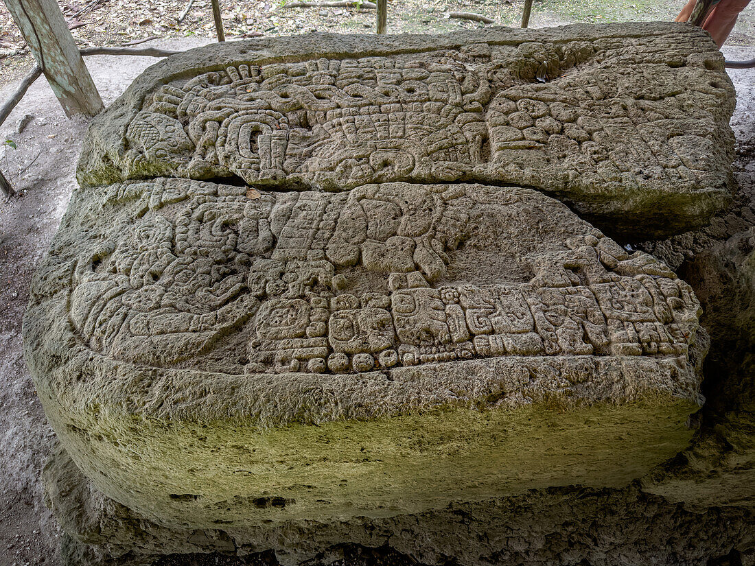 Eine in Stein gehauene Stele, die einen Krieger darstellt, auf der Plaza A der Maya-Ruinen im Yaxha-Nakun-Naranjo-Nationalpark, Guatemala.