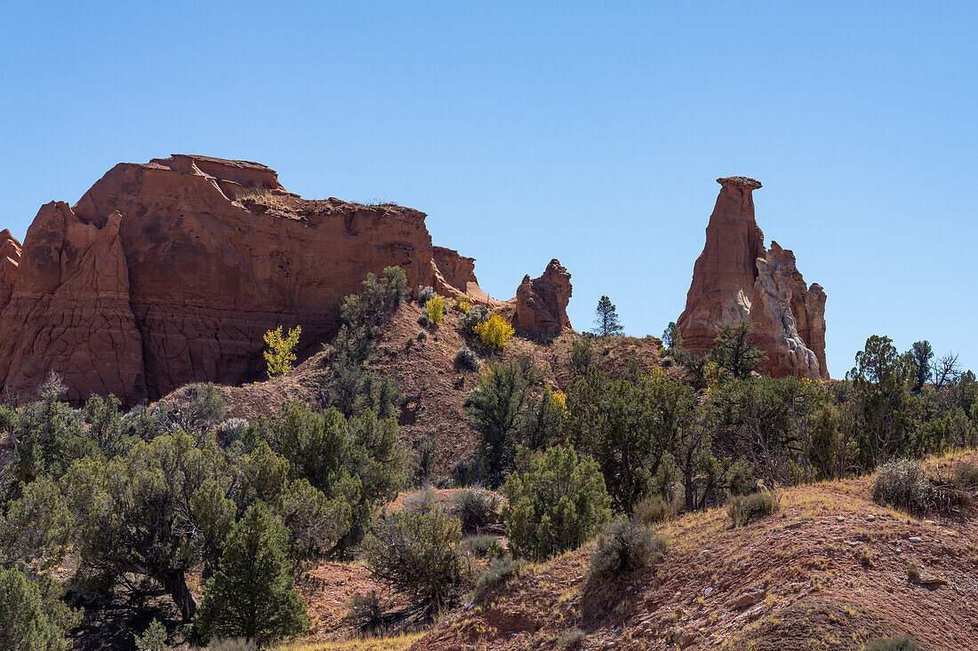 Farbenfrohe erodierte Entrada-Sandsteinformationen und Pinyon-Wacholderwald im Kodachrome Basin State Park in Utah.