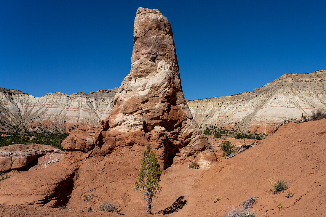 A small juniper tree in front of a sand pipe or chimney rock,an eroded rock tower in Kodachrome Basin State Park in Utah.