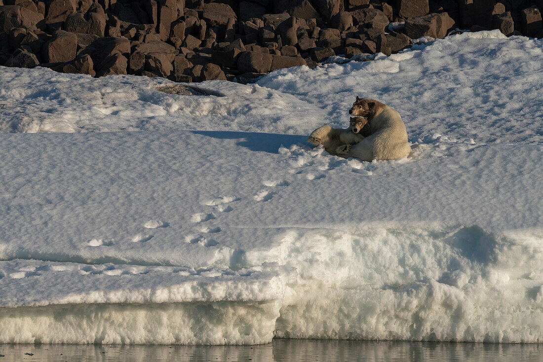 Van Otteroya Insel, Svalbard Inseln, Norwegen.